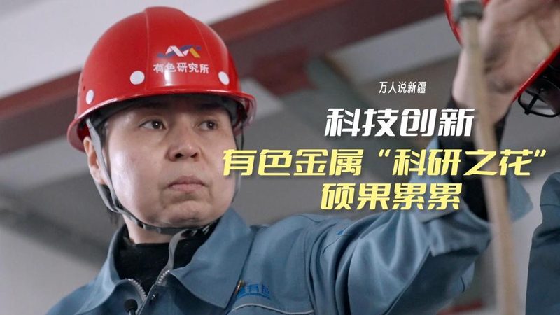 低代码平台实战：揭秘高效开发背后的关键要素